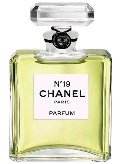 no 19 chanel perfume